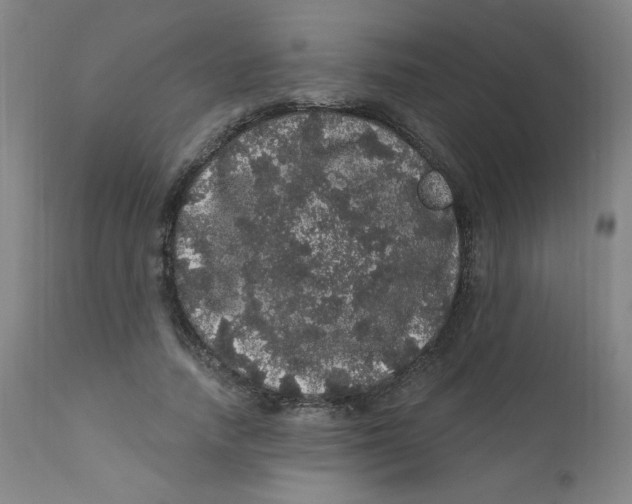 X0000112160738200909041126