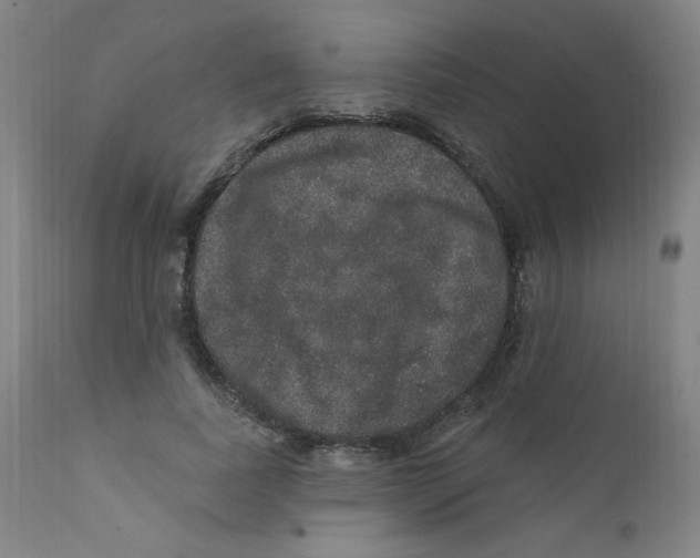 X0000112160739200909041126