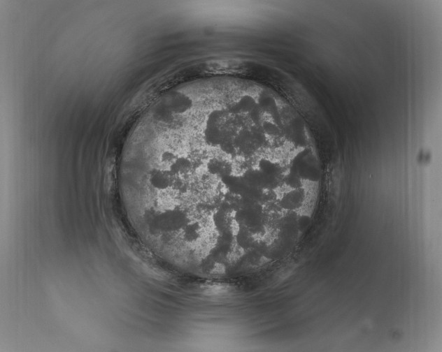 X0000112160741200909041126