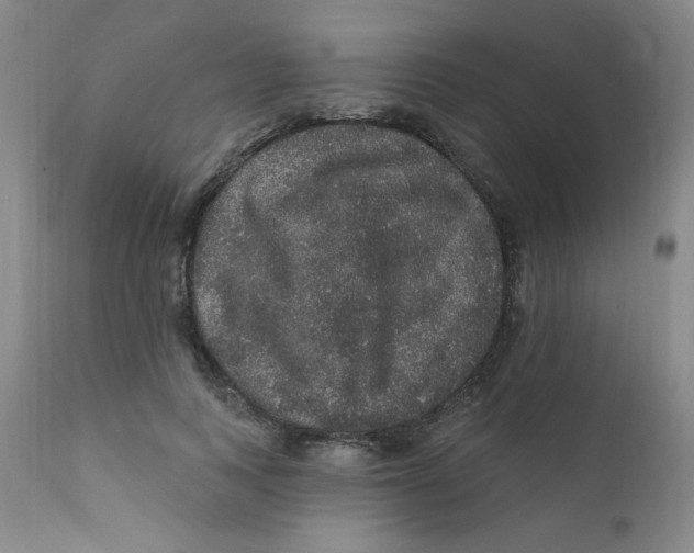 X0000112160743200909041126