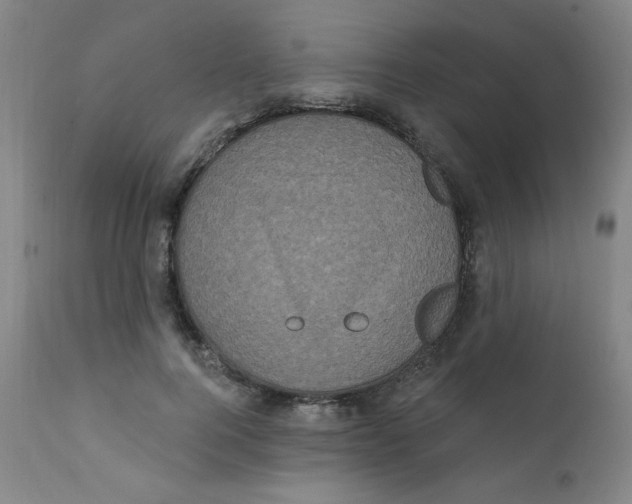 X0000112160744200909041126