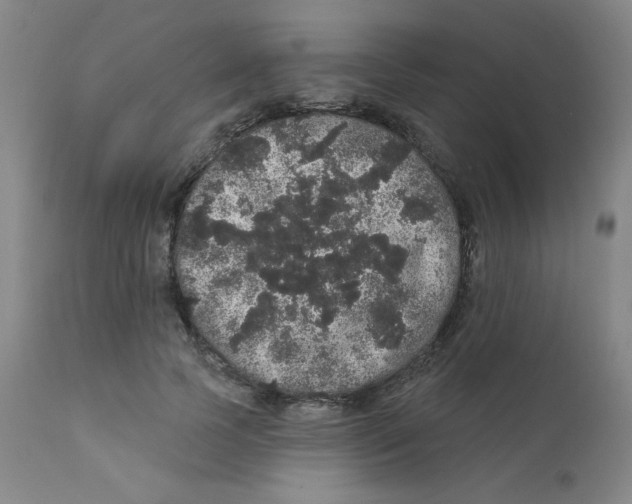 X0000112160745200909041126