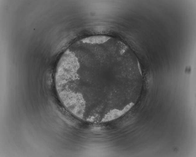 X0000112160746200909041126