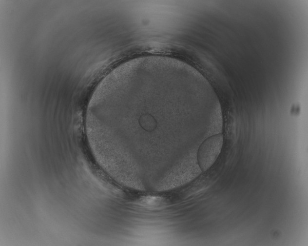 X0000112160748200909041126