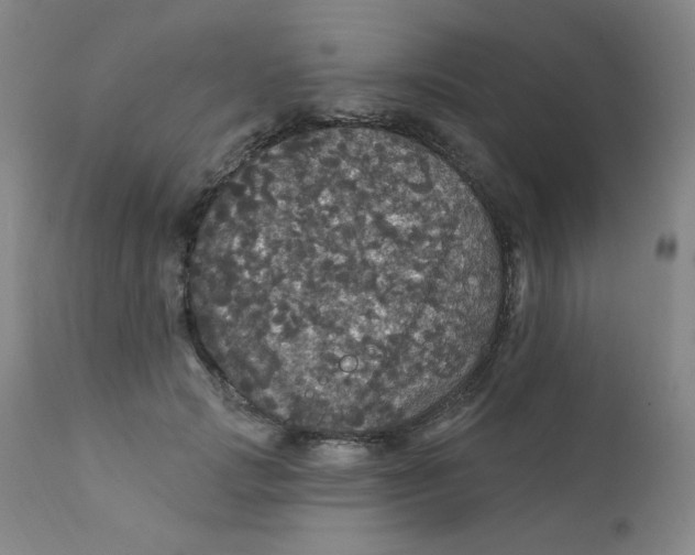 X0000112160749200909041126