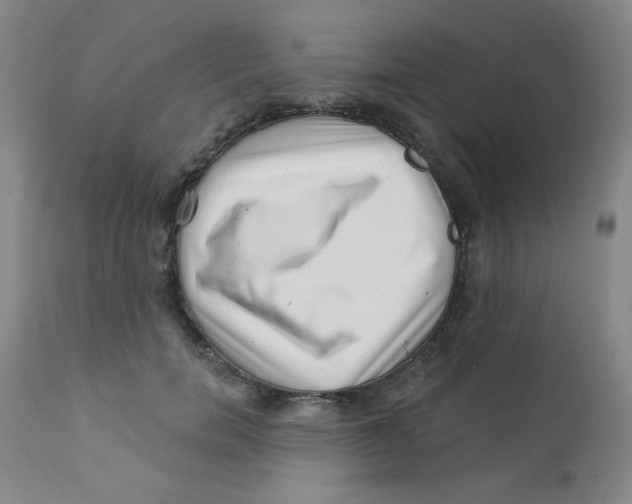 X0000112160750200909041126