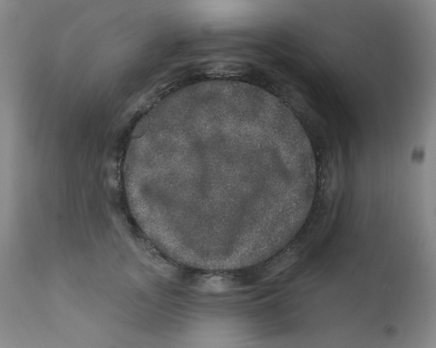 X0000112160755200909041126