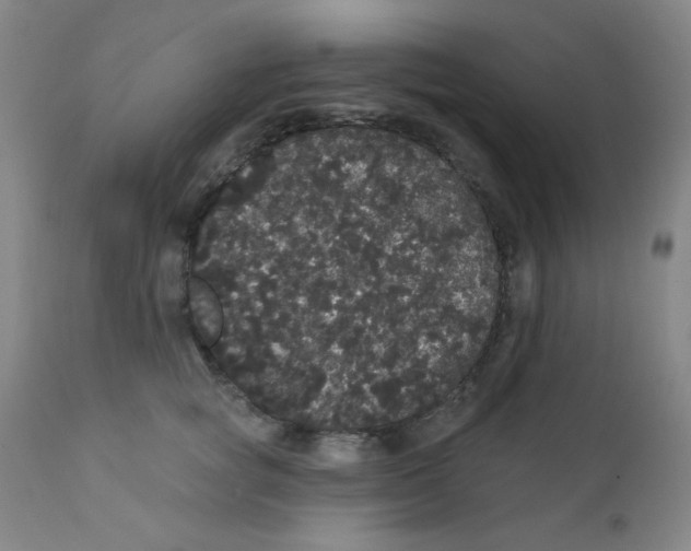 X0000112160757200909041126