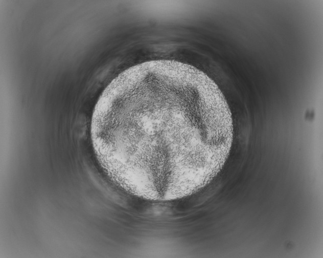X0000112160758200909041126