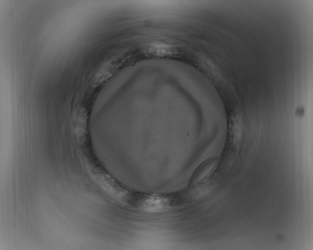 X0000112160760200909041126