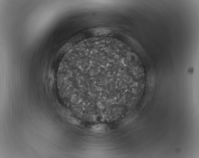 X0000112160761200909041126