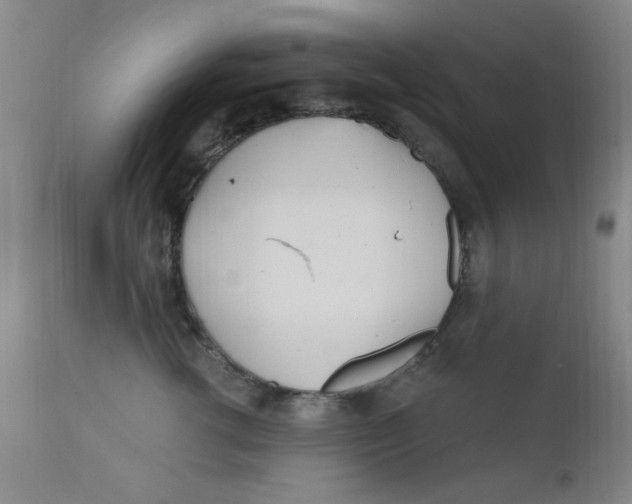 X0000112160762200909041126