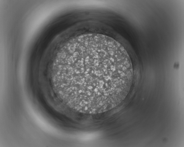 X0000112160765200909041126