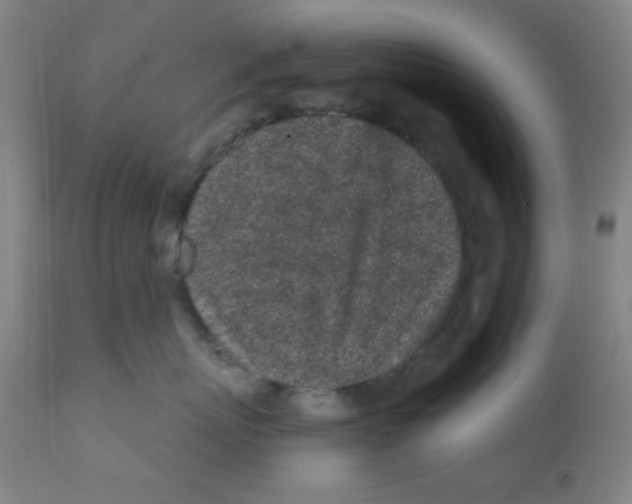 X0000112160767200909041126