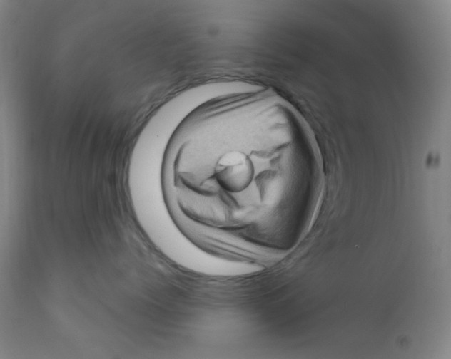 X0000112160768200909041126