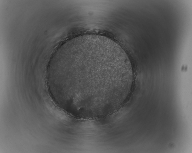 X0000112160769200909041126