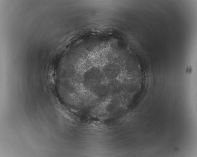 X0000112160770200909041126