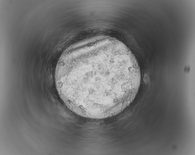 X0000112160771200909041126