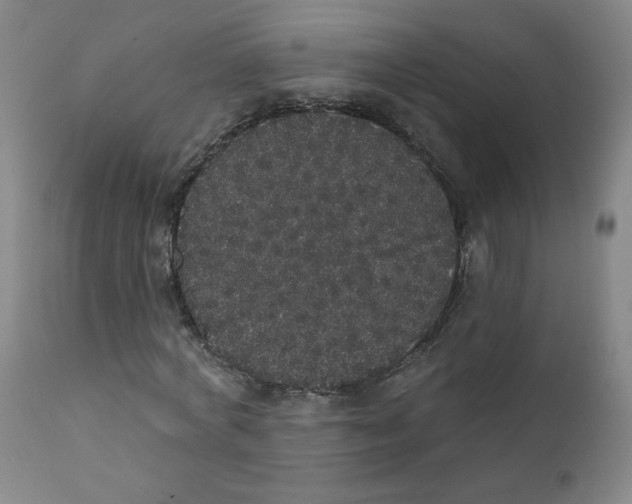 X0000112160772200909041126