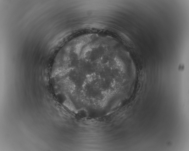 X0000112160774200909041126