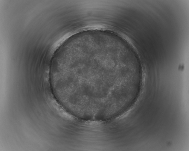 X0000112160778200909041125