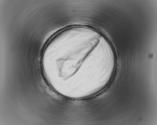 X0000112160779200909041125