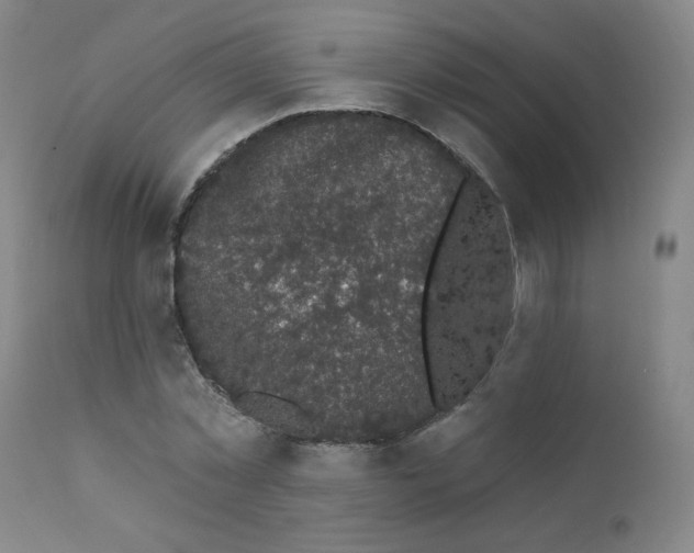 X0000112160781200909041125