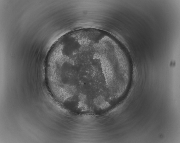 X0000112160782200909041125