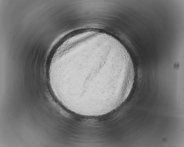 X0000112160784200909041125