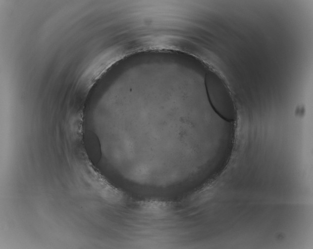 X0000112160785200909041125