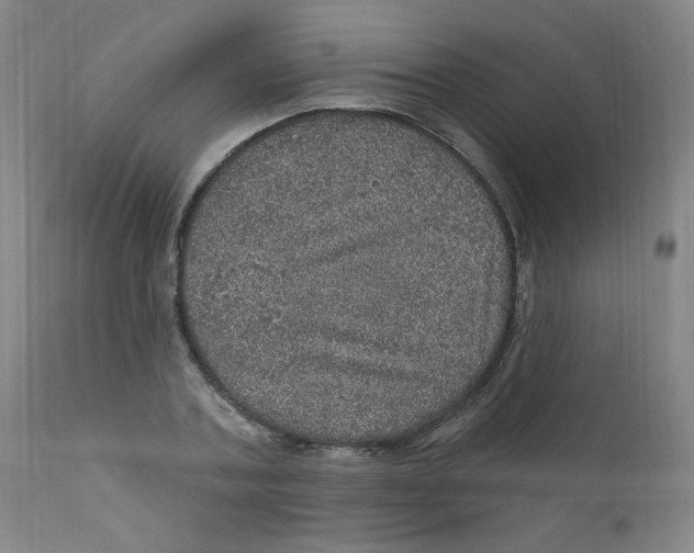 X0000112160787200909041125