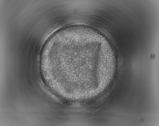 X0000112160790200909041125
