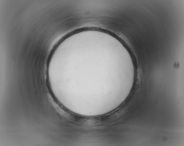 X0000112160791200909041125