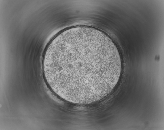 X0000112160792200909041125
