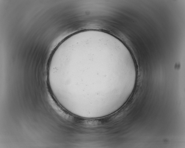 X0000112160795200909041125