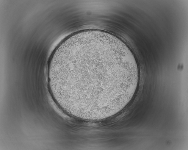 X0000112160796200909041125