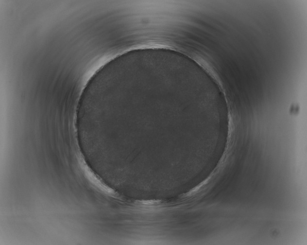 X0000112160797200909041125