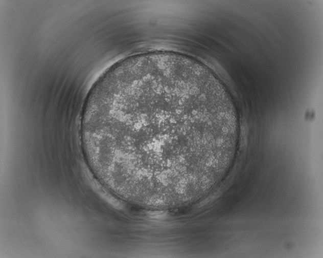 X0000112160798200909041125