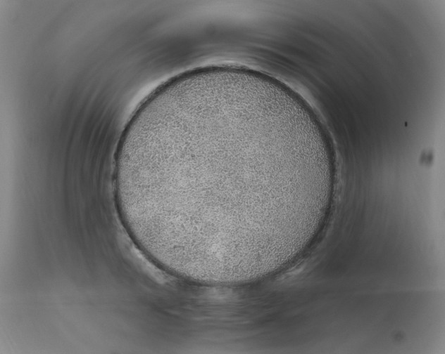 X0000112160799200909041125