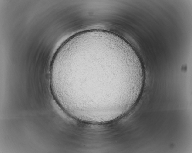 X0000112160800200909041125