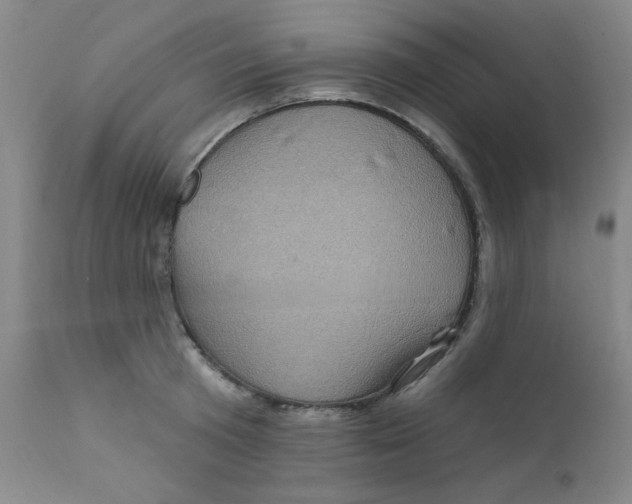 X0000112160801200909041125