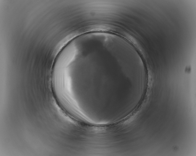 X0000112160802200909041125