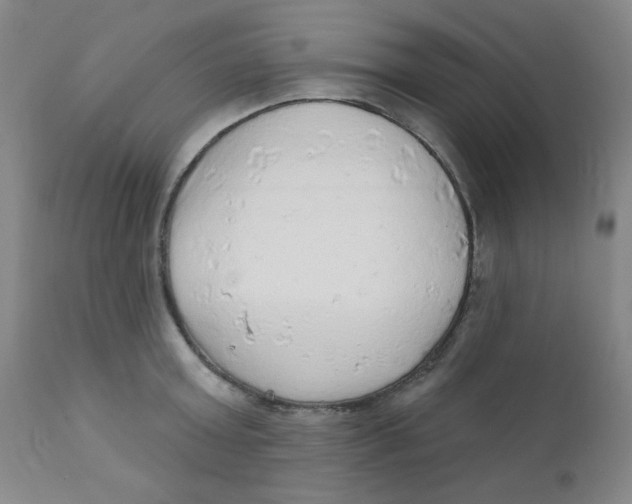 X0000112160803200909041125