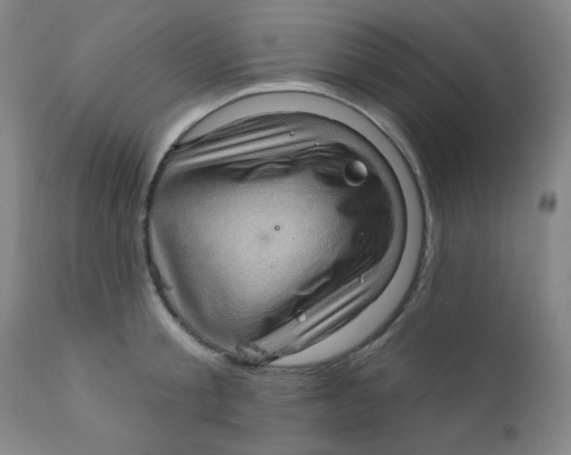 X0000112160805200909041125