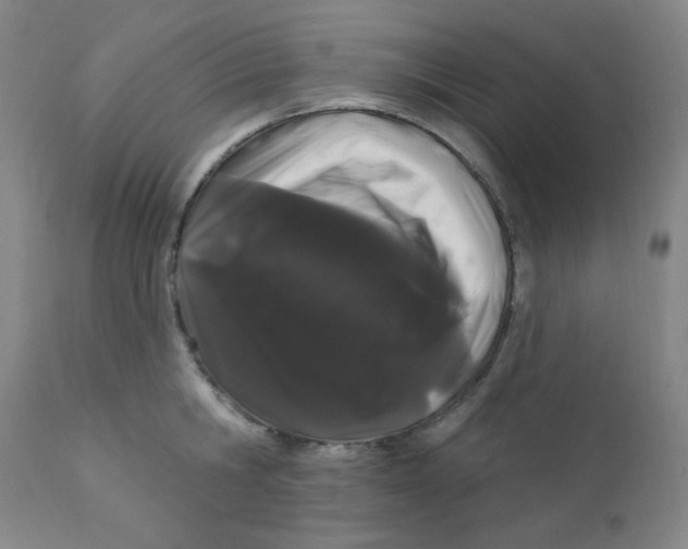 X0000112160806200909041125