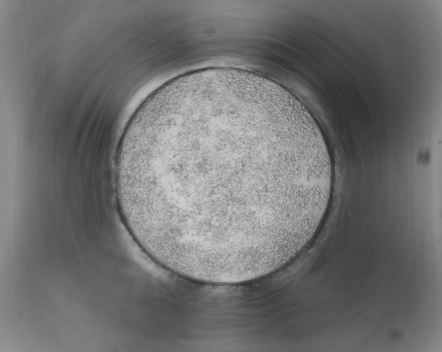 X0000112160808200909041125