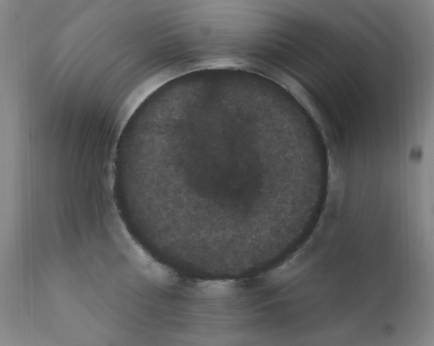 X0000112160810200909041125