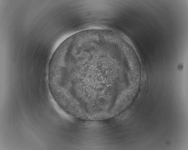 X0000112160811200909041125
