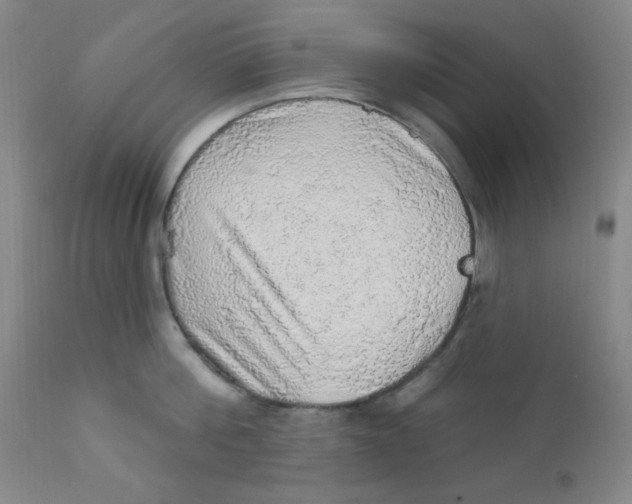 X0000112160812200909041125