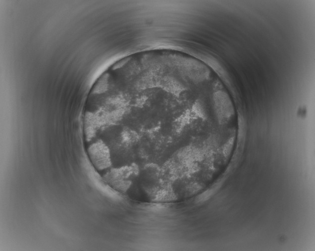 X0000112160814200909041125